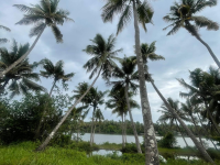 Riverside property at Kandassankadavu, Thrissur, Kerala